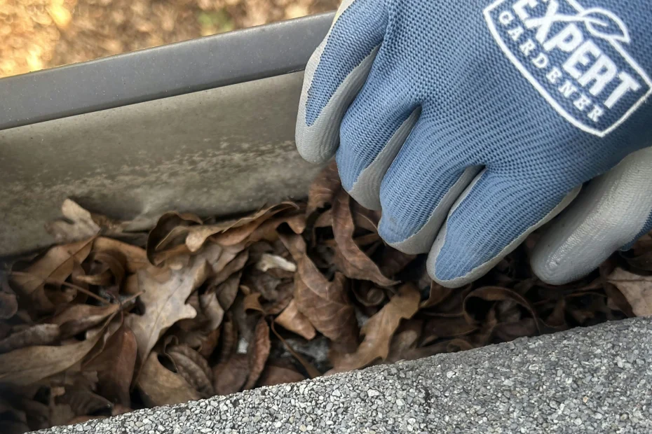 Gutter Cleaning Bexley