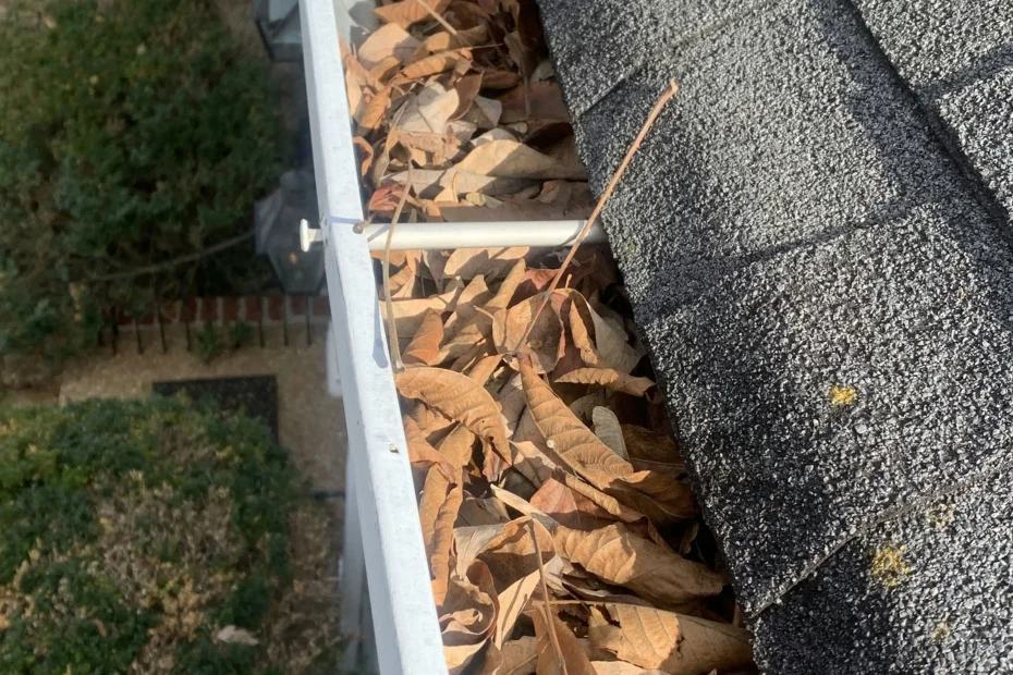 Gutter Cleaning Bexley