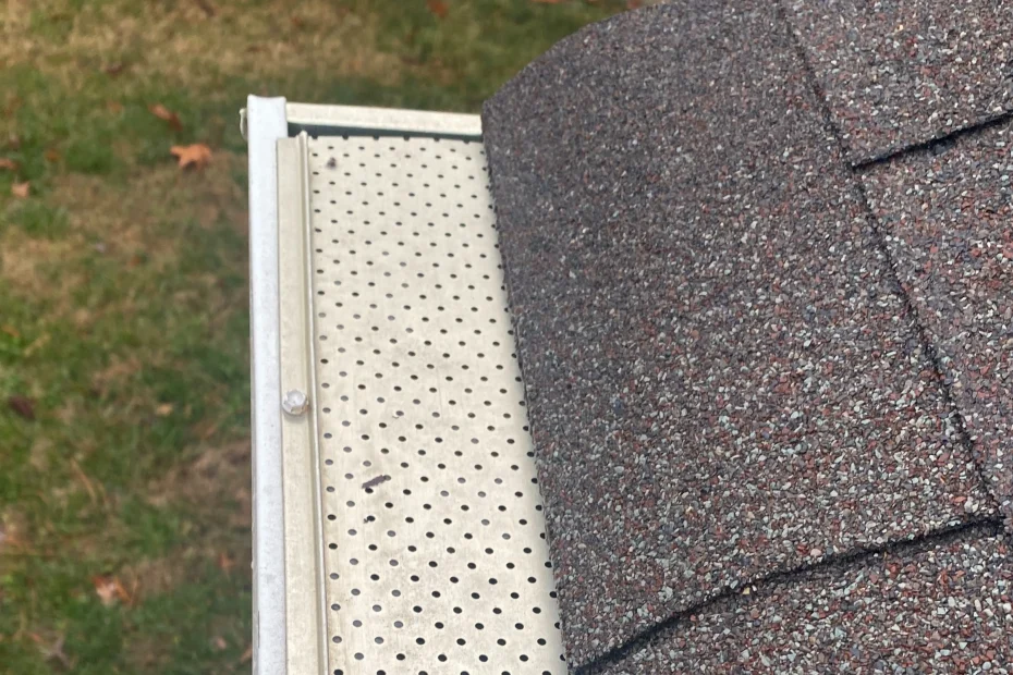 Gutter Cleaning Bexley